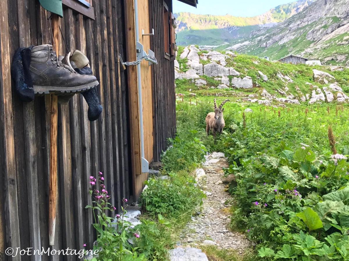 Village Vacances Le Salvagny Sixt-Fer-a-Cheval Екстер'єр фото